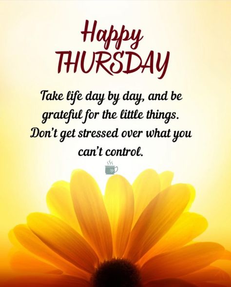 Happy Thursday! 🌼🌸🌿 Happy Thursday Images Beautiful, Bless Thursday, Blessed Thursday, Thursday Morning Quotes, Happy Thursday Morning, Happy Thursday Images, Thursday Images, Thursday Greetings, Thursday Blessings