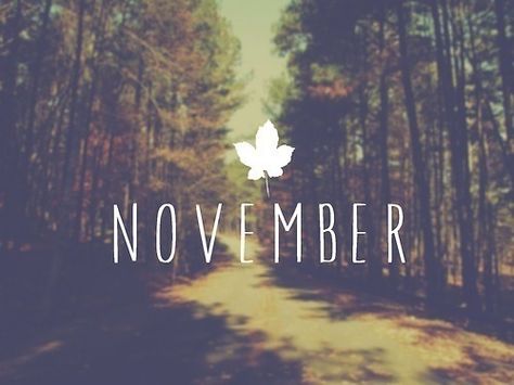 november, autumn, and fall image November Birthday Themes, Welcome November, November Quotes, November Baby, Happy November, Hello November, November Month, Fall Images, November Birthday