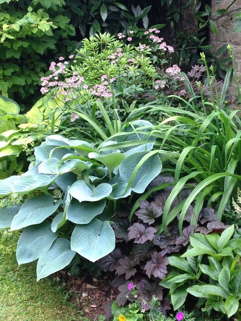 Lush planting Shady Border Plants Uk, Shade Planting, Shady Border, Shady Garden, English Garden Design, Shade Garden Plants, Hosta Gardens, Front Yard Garden Design, Cottage Garden Design