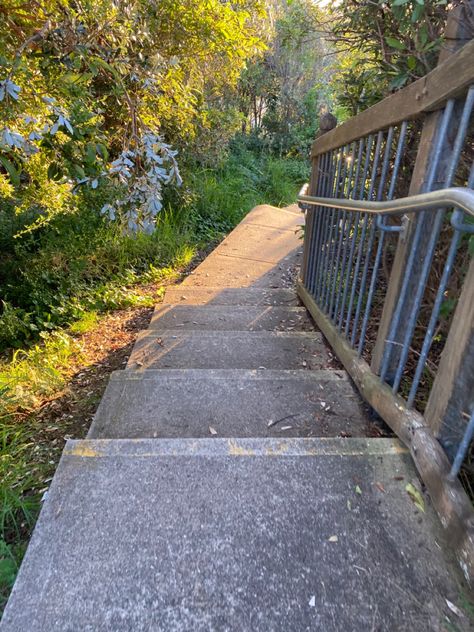 Yo this walkway is so prettyyyy Early Afternoon Aesthetic, Up Early Aesthetic, Waking Up Early Aesthetic, Early Aesthetic, Afternoon Aesthetic, You Are The Sun, Vivid Dreams, 2023 Vision, 2024 Vision