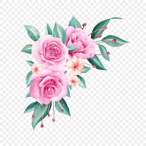 Rosas Vector, Rosé Png, Flowers Png, Peach Roses, Graphic Design Projects, Png Clipart, Watercolor Flowers, Flower Designs, Design Projects