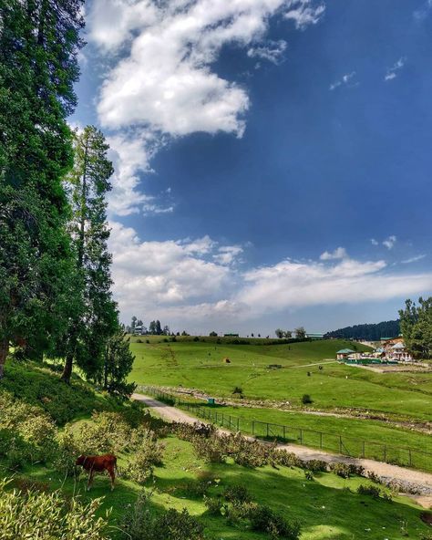 #Yusmarg #Kashmir Yusmarg Kashmir, Kashmir Pics, Beauty Of Kashmir, Eternal Beauty, Cute Hamsters, Beautiful Picture, Fairy Tale, Beautiful Pictures, Pakistan