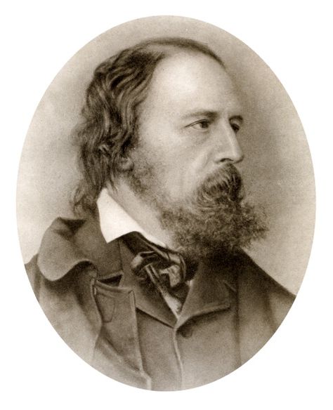 Alfred Tennyson, Lord Tennyson, Alfred Lord Tennyson, William Wordsworth, English Poets, Poets, Photo Image, Resolution, Male Sketch