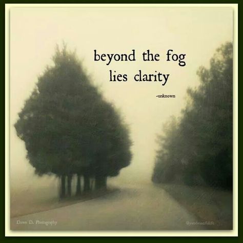 always the fog...always... Fog Quote, Bill W, Take It Or Leave It, We Are All One, We Are All Connected, Early In The Morning, The Fog, Random Thoughts, Every Thing