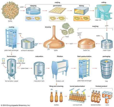 Everything you ever wanted to know about how beer is made. Check out The Beer Brewing Book at http://thebeerbrewingbook.com Beer Infographic, Beer Making Process, Beer Brewing Process, All Grain Brewing, Beer Brewing Equipment, Beer Guide, Beer Making, Beer Poster, Home Brewing Beer