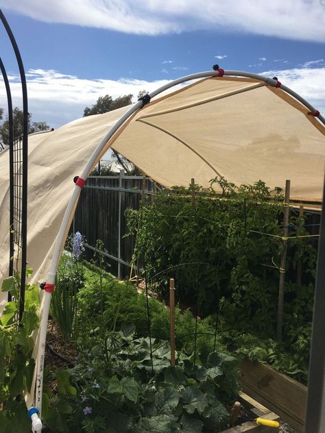 Hoop House, Garden Shade, Garden Goals, Shade House, Black Thumb, Herb Farm, Garden Screening, Patio Shade, Covered Garden