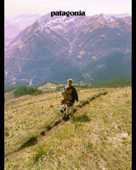 Alps Aesthetic, Patagonia Hiking, Patagonia Outdoor, Dorm Art, Vintage Poster Design, Vintage Patagonia, Nature Posters, The Alps, Vintage Poster Art