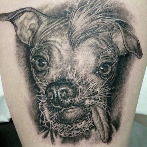 Tattoo Artist - Shane O Neill | Tattoo No. 9893 Fat Tattoo, Dog Tags Tattoo, Horse Tattoo Design, Elephant Tattoo Design, Ugly Dogs, Epic Tattoo, Tattoo Fails, Most Beautiful Dogs, Elephant Tattoo