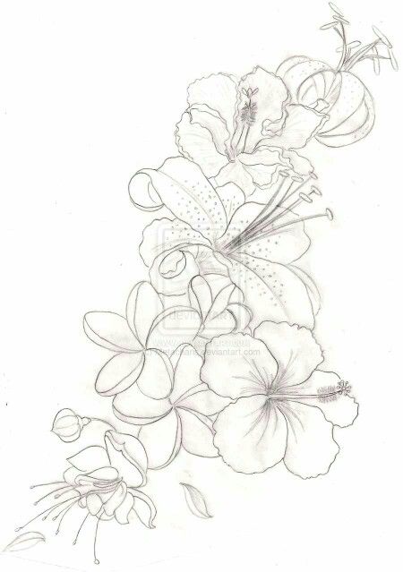 Tropical flowers Hawaiian Flower Drawing, Tropical Flower Tattoos, Orchid Flower Tattoos, Drawing Of Flowers, Hibiscus Flower Tattoos, Hibiscus Tattoo, Orchid Tattoo, Flower Tattoo Drawings, Hawaiian Tattoo