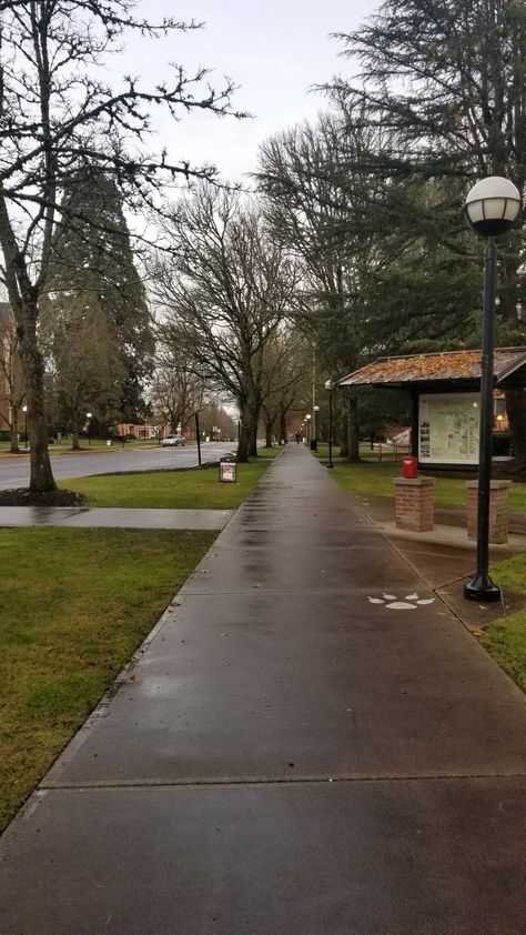 Rainy day on Western Oregon University campus Jan 2018 Western Oregon University, Rising Action, Oregon University, University Of Oregon, University Campus, Rainy Days, Rainy Day, Oregon, University