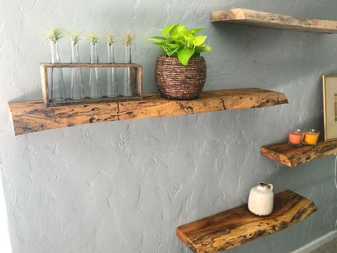 DIY Design: How to Make A Live-Edge Floating Shelf Shelf Plant Decor, Live Edge Floating Shelves, Diy Live Edge, Live Edge Floating Shelf, Live Edge Shelves, Floating Shelf Brackets, Floating Shelves Diy, Mini Succulents, Trends 2023