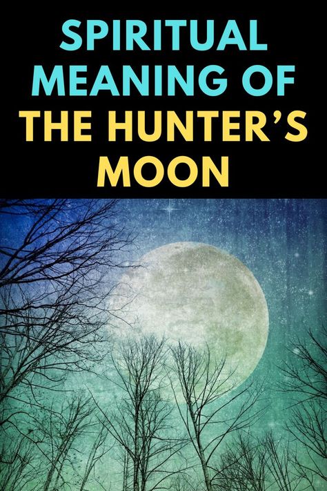 Hunter Moon Spells, Hunters Moon Meaning, Hunter Moon Ritual, Hunters Moon Ritual, Hunter Moon, Healing Exercises, Fool Moon, Hunters Moon, Moon Spirituality