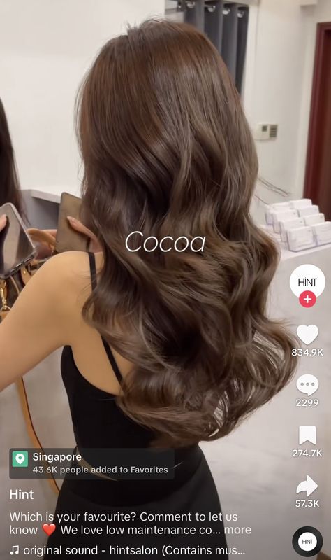 Nutella Brown Hair Color, Hair Color Ideas Solid Colors, Healthy Brown Hair Color, Brown Hair Colors On Tan Skin, Thalia Hair Color, Medium Mocha Brown Hair Color, Long Chocolate Hair, Hair Dye Ideas For Brunettes Straight, Different Brown Hair Colors Shades Brunettes