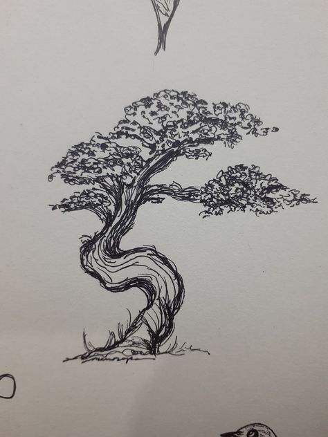 bonsai tree drawn with ink pen Japanese Bonsai Tree Drawing, Juniper Tattoo, Bonsai Tree Drawing, Trees Art Drawing, Bonsai Drawing, Surfer Tattoo, Boyfriend Scrapbook, Japanese Bonsai Tree, Ink Pen Art