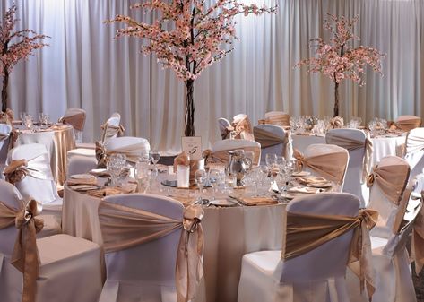 Bronze wedding chair sashes Bronze Wedding Decorations, Blossom Tree Wedding, Tree Wedding Centerpieces, Prince Wedding, Cherry Blossom Theme, Wedding Chair Sashes, Rusting Wedding, Bronze Decor, Wedding Themes Spring