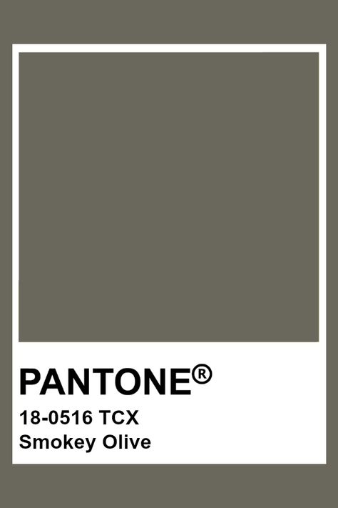 PANTONE 18-0516 TCX Smokey Olive Pantone Olive Green, Olive Pantone, Tcx Pantone, Brown Pantone, Pantone Tcx, Pantone Green, Pantone Color Chart, Pantone Swatches, Pantone Palette