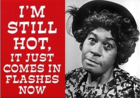 Aunt Esther - Sanford & Son - Watch It Sucka!! Old Black Women, Aunt Esther, Career Promotion, Fred Sanford, Laughter Medicine, Opportunity Quotes, Tamla Motown, Funny Day Quotes, Sanford And Son