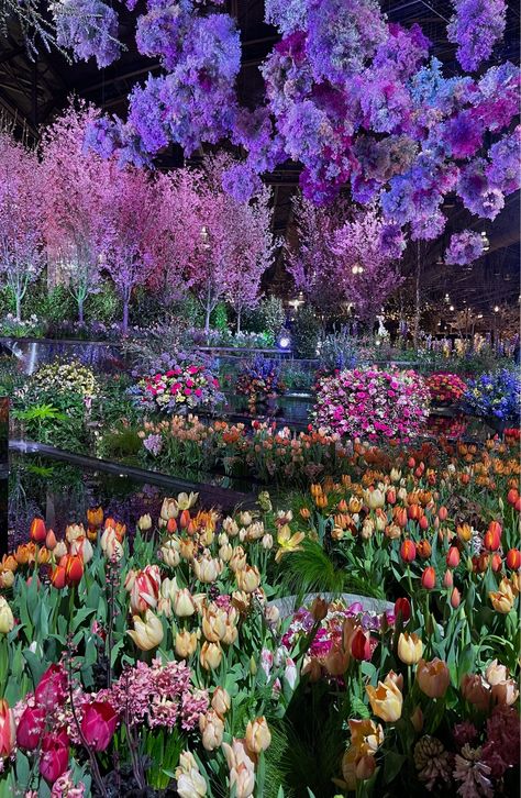 kallynguyenn Philadelphia Flower Show, Fairytale Fantasy, City Garden, Chelsea Flower, Chelsea Flower Show, Flower Show, Fairytale Wedding, Video Editor, Bright Color