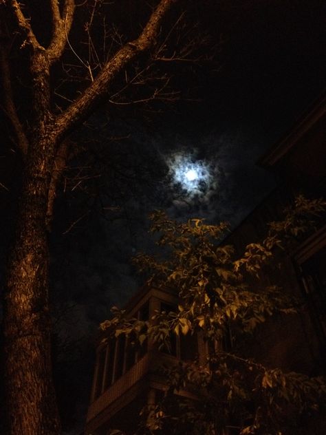 Scary Movie Aesthetic Pictures, Halloween Night Aesthetic, Scary Moon, Spooky Aesthetic, Dark Halloween, Halloween Moon, Autumn Magic, Halloween Movie, Bangs With Medium Hair