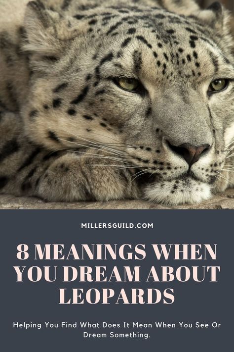 leopard dream meaning Dream Meaning, Dark Rings, Feeling Defeated, Meeting Someone New, Dream Symbols, Dream Meanings, Toddler Fall, Incredible Creatures, Dream Interpretation