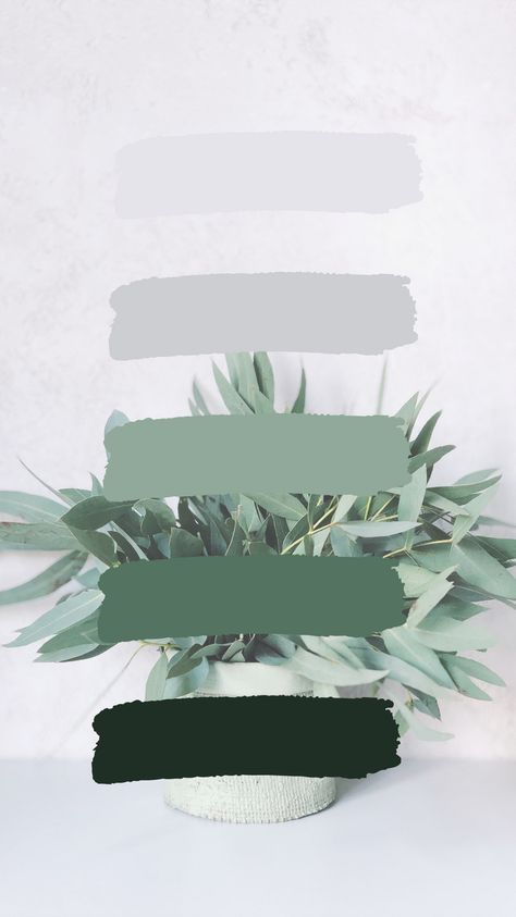 Green Gray Black Color Scheme, Black White Sage Color Palette, Sage And Grey Color Palette, Emerald Branding Color Palette, Sage And Black Color Palette, Black White Grey Green Color Palette, Luxury Green Color Palette, Branding Color Palette Green, Green Gray Color Palette