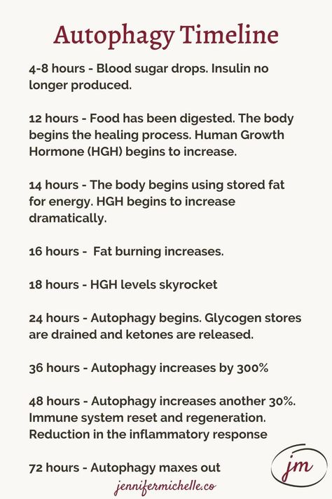 Learn how to get start intermittent fasting for beginners: the benefits of IF, autophagy, intermittent fasting side effects, and weight loss. Intermittent Fasting Timeline, Fasting Timeline Benefits, Fasting Timeline, Fasting Autophagy, Autophagy Fasting, Micro Learning, Micro Biome, Intermittent Fasting Tips, Fasting Benefits