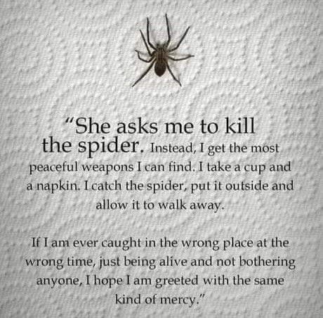 Spider Quotes, Buddha Quotes, Deep Thought Quotes, Wise Quotes, Pretty Words, Pretty Quotes, Thoughts Quotes, The Words, Meaningful Quotes