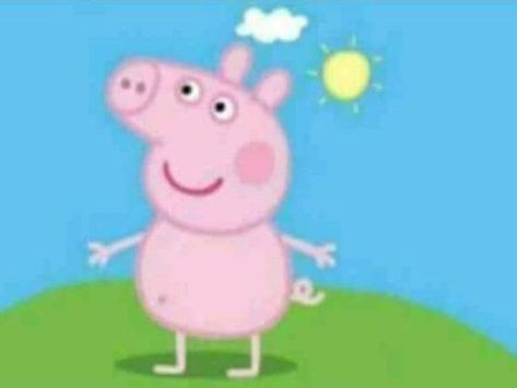 Peppa Pig Pictures, Peppa Pig Imagenes, Heo Peppa, Peppa Pig Memes, Papa Pig, Peppa Pig Funny, Funny Dog Jokes, Funny Rats, Pig Pictures