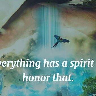 Native American Wisdom, American Quotes, Gratitude Challenge, Native American Quotes, Greatest Mysteries, Inspirational Artwork, Wild Woman, Meditation Practices, Ancient Wisdom