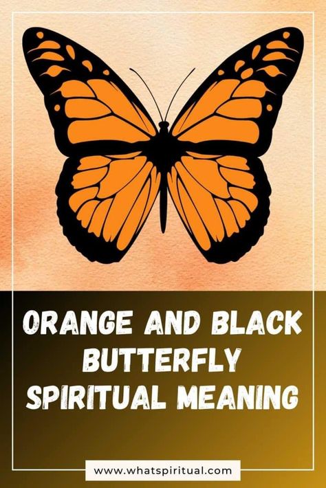 Orange and Black Butterfly Spiritual Meaning & Symbolism | What Spiritual Orange Butterfly Meaning Spiritual, Butterfly Color Meaning Spiritual, Butterflies Meaning Spiritual, Butterfly Spiritual Meaning, Butterfly Meaning Spiritual, Butterfly Symbolism Meaning, Butterfly Symbolism, Orange And Black Butterfly, Butterfly Meaning