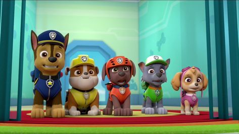 Rocky/Gallery/Pups Save the Chalk Art | PAW Patrol Wiki | Fandom Paw Patrol Rocky, Paw Patrol Pups, Chalk Art, Paw Patrol, Nickelodeon, Rocky, Chalk, Mario Characters, Quick Saves