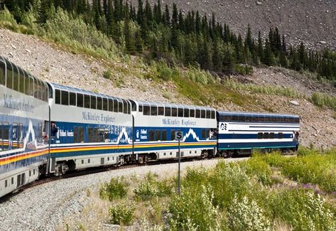 Alaska Train, Train Whistles, Usa Places, Alaska Railroad, Usa Places To Visit, Alaska Vacation, Holland America Line, Boreal Forest, Air Photo