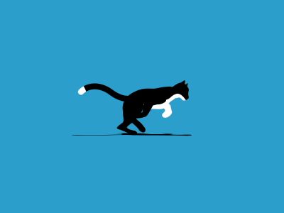 Cat Animal Animation Gif, Cat Running Animation, Cat Animation Gif, Cat Movement, Cycle Animation, Kitty Gif, Cat Animation, Cat Running, Cat Animated