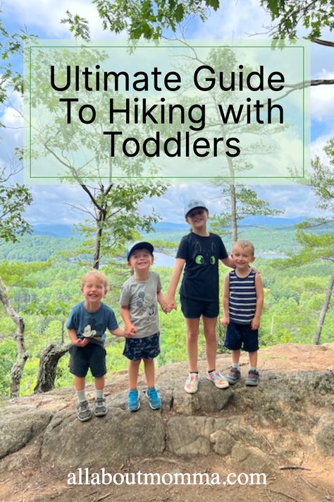 Hiking with toddlers is a great way to start your child’s love for the outdoors early. Click to find the ultimate hiking guide to get you started! Hiking With Toddlers, Solo Hiking, Hiking Guide, What To Pack, Go Outside, Fresh Air, The Outdoors, Trekking, To Start