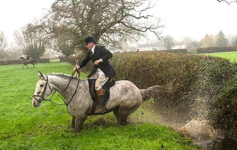 Ouch! Hunting thrills and spills in pictures - Horse & Hound Hunt Seat, January Blues, Library Pictures, Door Images, Tom Holland, Holland, Ups, Hunting, Horses