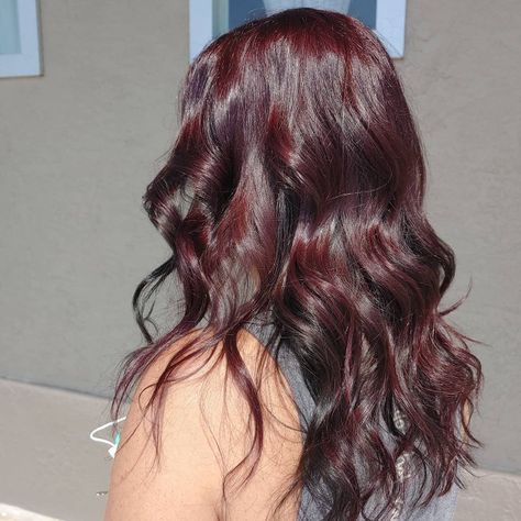 Midnight Cherry Hair Color, Colored Naturally Curly Hair, Reddish Purple Brown Hair, Cherry Red Lowlights, Midnight Ruby Hair Color, Maroon Hair Aesthetic, Dark Red Hair Color Burgundy Wine, Maroon Hair Color Burgundy, Berry Colored Hair