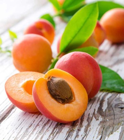 Apricot Seeds Benefits, Apricot Benefits, Stretch Mark Remedies, Seeds Benefits, Apricot Fruit, Apricot Tree, Healthy Lungs, Apricot Seeds, Apricot Oil