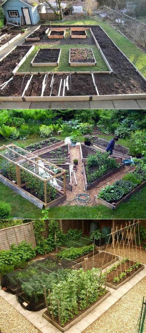 Foodscaping Design, Bamboo Hut, Dirt Therapy, Uni House, Planter Designs, Homesteading Life, Allotment Ideas, Veg Patch, Vegetable Garden Planning