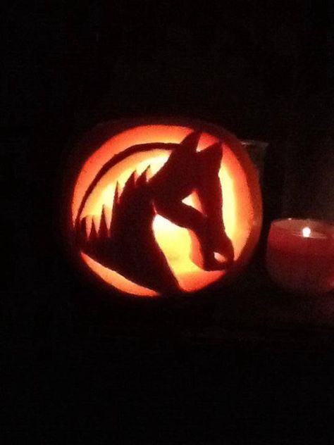 #pumpkin #carving #equestrian #horses #equestrianclearance  See more here: www.facebook.com/equestrianclearance.com Horse Carving Pumpkin, Ways To Carve A Pumpkin, Pumpkin Carve Ideas, Horse Pumpkin, Pumpkin Carving Ideas Easy, Pumpkin Carve, Carve A Pumpkin, Equestrian Horses, Pumkin Carving