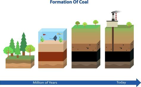 coal formation process, Formation of coal vector illustration, gas and petroleum process Coal And Petroleum, Coal Formation, Draw Hands, Science Project, Grade 6, Science Projects, Geography, Vector Art, Vector Free