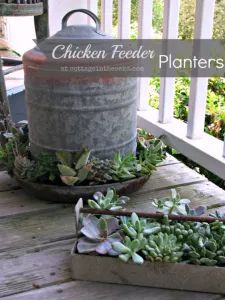 Creative Planters, Unique Flower Pots, Formal Garden Design, Cheap Holiday Decor, Unique Planters, Planters Outdoor, Creative Planter, Galvanized Tub, Chicken Feeder