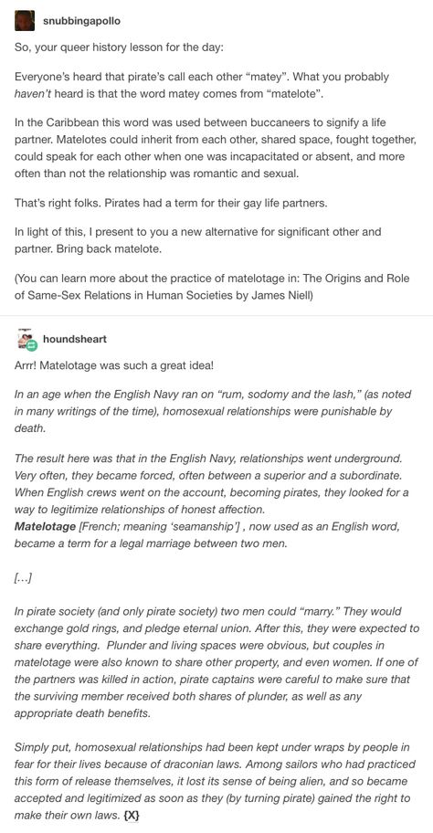 Queer history of pirates Pirate History Facts, Pirating Websites Tumblr, Pirate Writing Ideas, Pirates Facts, Pirates Historical, Pirate Story Ideas, Writing Pirates, Pirate Writing Prompt, Pirate Facts