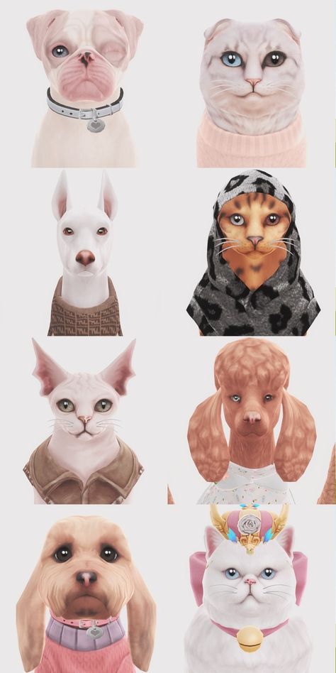 pet dump! ♡🐶 | deepmoon Sims 4 Pet Toy Box Cc, Animals Sims 4 Cc, Sims 4 Pet Cc Clothes Patreon, Sims 4 Cat Download, Sims 4 Dog Download, Sims4 Cats And Dogs Cc, Sims 4 Pet Download, Sims 4 Cc Dog Clothes, Sims 4 Dogs Cc