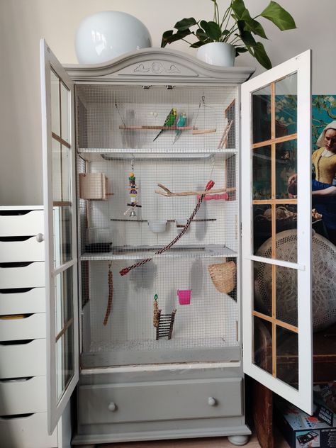 Birds Cage Ideas Indoor, Diy Bird Cage How To Make, Parakeet Cage Ideas, Bird Cage Ideas, Parrot Play Stand, Conure Bird, Budgie Cage, Diy Bird Cage, Bird Cage Design