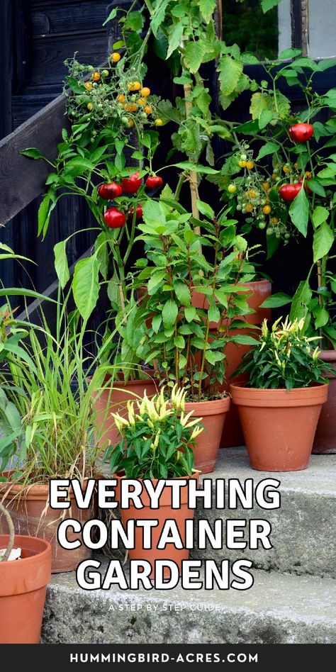 Transform your patio or balcony into a green oasis with these creative and space-saving container garden ideas. Garden Pots Ideas, Gardening In Pots, Container Gardening Ideas, Container Garden Ideas, Eco Friendly Garden, Green Oasis, Natural Pest Control, Gardening Techniques, Container Gardens