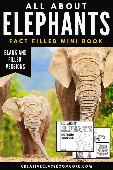 All About Elephants: A Fact Filled Mini Booklet for the Primary Grades. Perfect for your upcoming elephant unit or African Animal Unit, this elephant mini book contains key information and coloring book style images, and writing practice pages. It can be completed by itself, or combined a variety of other mini books available in my store. All About Elephants, Elephant Facts, Primary Writing, Mini Booklet, Kindergarten Books, Animal Study, School Curriculum, Creative Classroom, Book Style