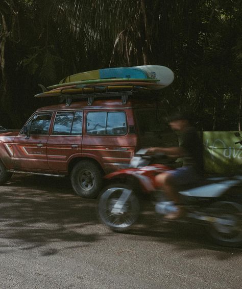 my fav december shot 🌴 #surfing #waveseason #35mm Surfer Life, Surfing Aesthetic, Surf Aesthetic, Music Taste, Surf Life, Surfing, Australia, Music, Pins