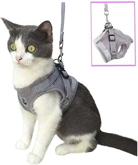 Cat Hiking, Kitten Harness, Service Cat, Cat Leash, Pet Backpack, Cat Backpack, Pet Kitten, Cat Harness, Pet Leash