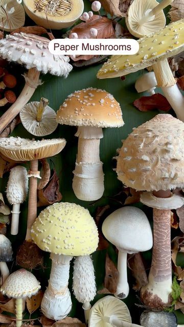 Ann Wood @Woodlucker/paper art on Instagram: "Freshly handmade PAPER Amanita mushroom. The top kinda looks like a hamburger bun with sesame seeds!
 

#annwood #handmade #imadethis #woodlucker #paperartist #viral #paperart #papermushroom #mushroom #mushrooms #mushroomlover #ilovemushrooms #mushroomsofinstagram" Paper Mushrooms, Amanita Mushroom, Ann Wood, Plant Fungus, Paper Plants, Transparent Paper, White Glue, Mushroom Art, Paper Artist