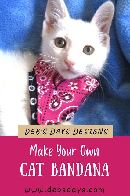 How To Make A Bandana For A Puppy, Diy Pet Bandana, No Sew Bandana For Dogs, Diy Pet Bandana No Sew, Cat Bandana Diy, Over The Collar Dog Bandana Sewing Pattern, Cat Collars Diy, Cat Bandana Pattern, Bandana Diy